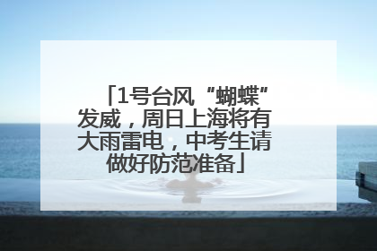 1号台风“蝴蝶”发威，周日上海将有大雨雷电，中考生请做好防范准备