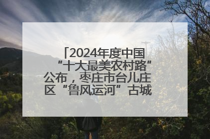 2024年度中国“十大最美农村路”公布，枣庄市台儿庄区“鲁风运河”古城文化廊道上榜！