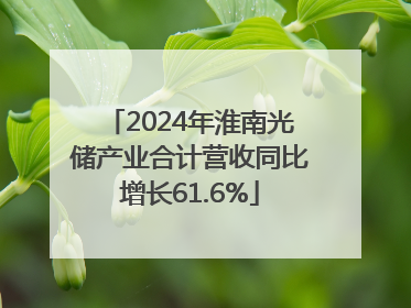 2024年淮南光储产业合计营收同比增长61.6%
