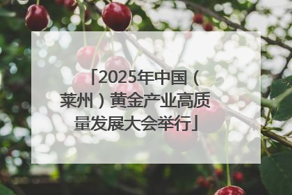 2025年中国（莱州）黄金产业高质量发展大会举行
