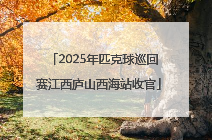 2025年匹克球巡回赛江西庐山西海站收官