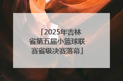 2025年吉林省第五届小篮球联赛省级决赛落幕
