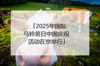 2025年国际马铃薯日中国庆祝活动在京举行