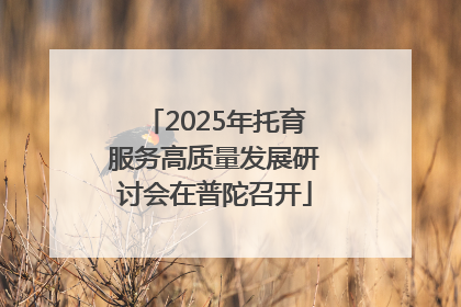 2025年托育服务高质量发展研讨会在普陀召开
