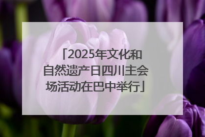 2025年文化和自然遗产日四川主会场活动在巴中举行