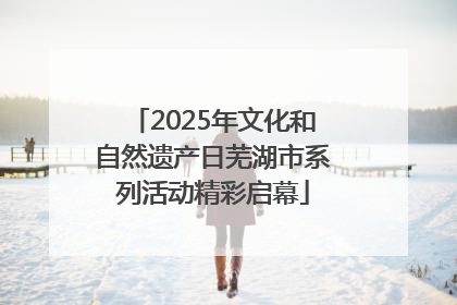 2025年文化和自然遗产日芜湖市系列活动精彩启幕