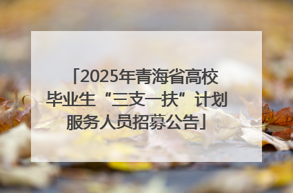 2025年青海省高校毕业生“三支一扶”计划服务人员招募公告