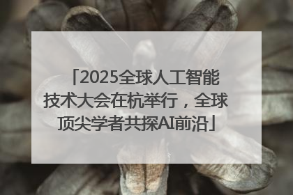 2025全球人工智能技术大会在杭举行，全球顶尖学者共探AI前沿