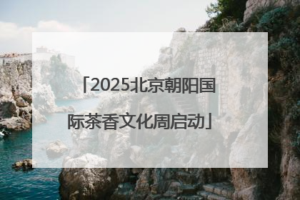 2025北京朝阳国际茶香文化周启动