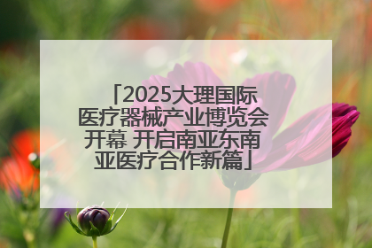 2025大理国际医疗器械产业博览会开幕 开启南亚东南亚医疗合作新篇