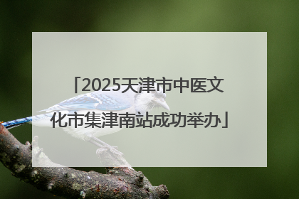 2025天津市中医文化市集津南站成功举办
