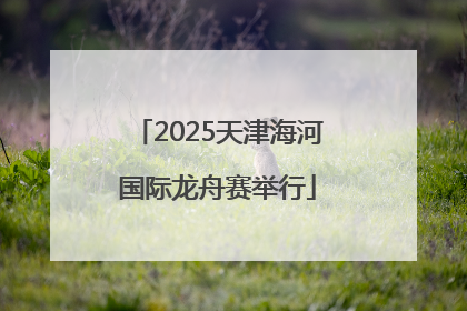 2025天津海河国际龙舟赛举行
