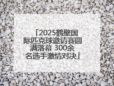 2025鹤壁国际匹克球邀请赛圆满落幕 300余名选手激情对决