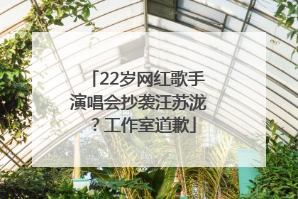 22岁网红歌手演唱会抄袭汪苏泷？工作室道歉