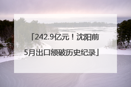 242.9亿元！沈阳前5月出口额破历史纪录