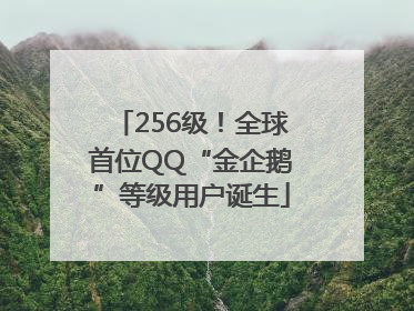 256级！全球首位QQ“金企鹅”等级用户诞生