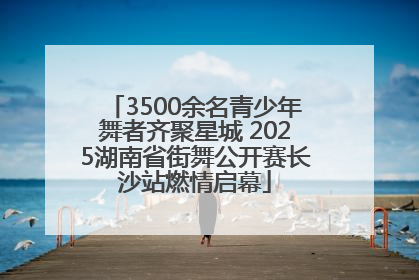 3500余名青少年舞者齐聚星城 2025湖南省街舞公开赛长沙站燃情启幕
