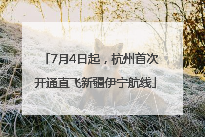 7月4日起，杭州首次开通直飞新疆伊宁航线