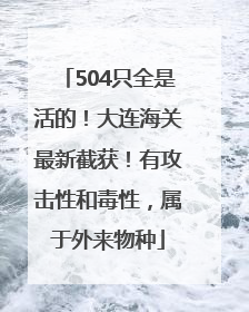 504只全是活的！大连海关最新截获！有攻击性和毒性，属于外来物种