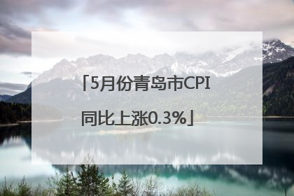5月份青岛市CPI同比上涨0.3%