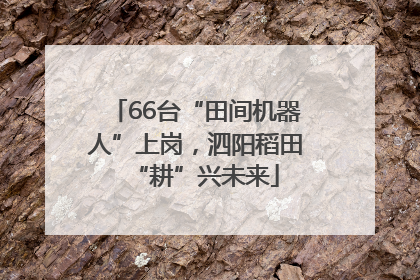 66台“田间机器人”上岗，泗阳稻田“耕”兴未来