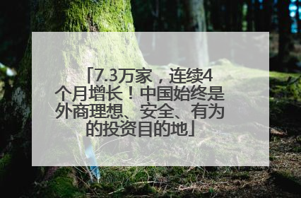7.3万家，连续4个月增长！中国始终是外商理想、安全、有为的投资目的地
