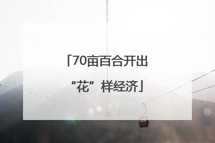 70亩百合开出“花”样经济