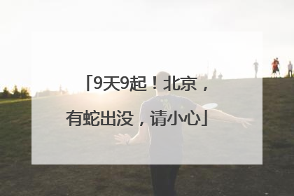 9天9起！北京，有蛇出没，请小心