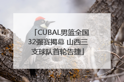 CUBAL男篮全国32强赛揭幕 山西三支球队首轮告捷