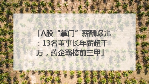 A股“掌门”薪酬曝光：13名董事长年薪超千万，药企霸榜前三甲