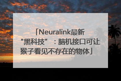 Neuralink最新“黑科技”：脑机接口可让猴子看见不存在的物体