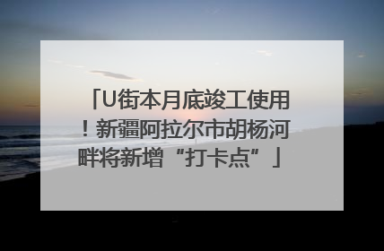 U街本月底竣工使用！新疆阿拉尔市胡杨河畔将新增“打卡点”
