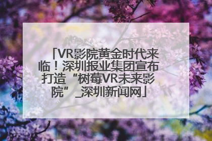 VR影院黄金时代来临！深圳报业集团宣布打造“树莓VR未来影院”_深圳新闻网